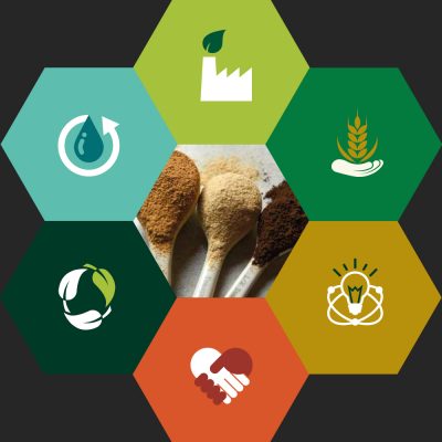 Crisp Malt Sustainability Report 2023, cover image. Making Sustainable Attainable