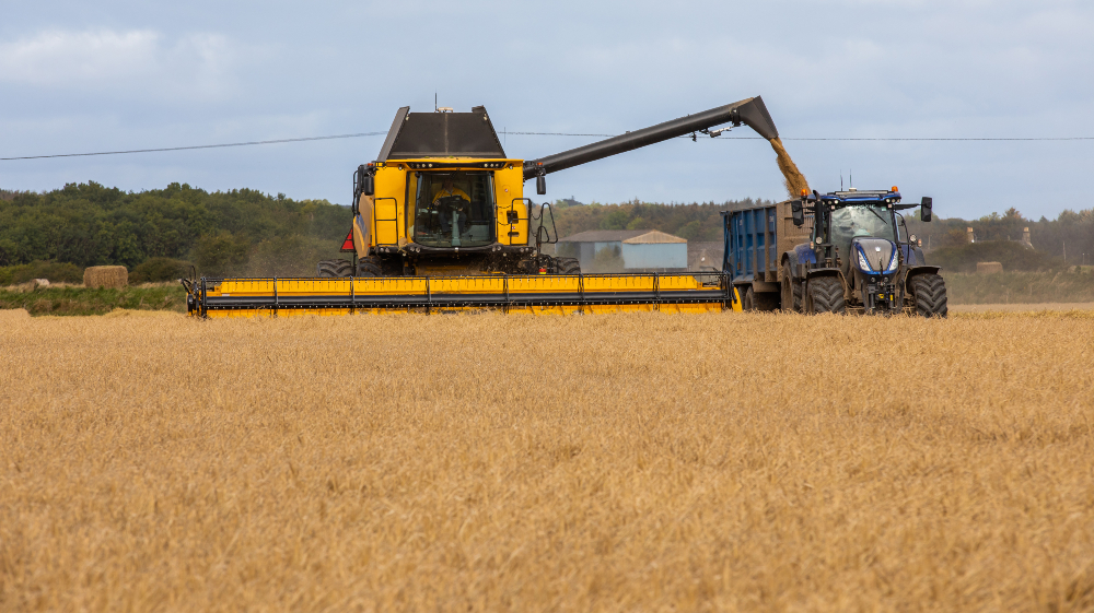 Crisp Malt | Barley Harvest