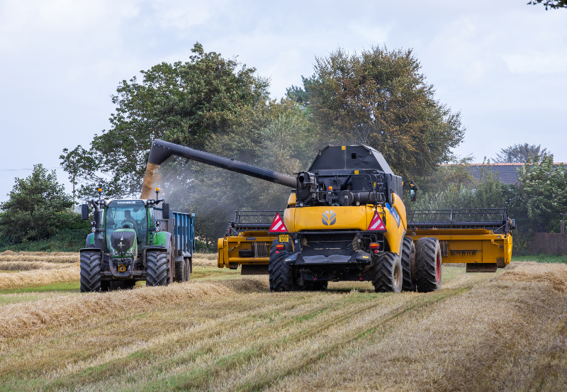 Crisp Malt | Barley Harvest