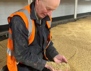 Neville kneeling down and holding malt in his hands