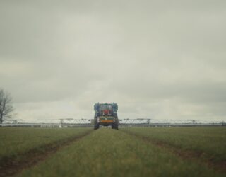 two-row barley crop report, a tractor in a field of barley seedlings