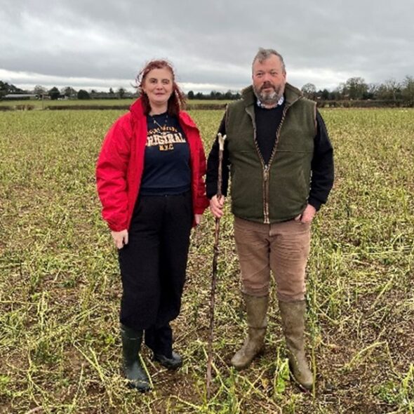 Ben Jones and Becky Gee discuss cover crops