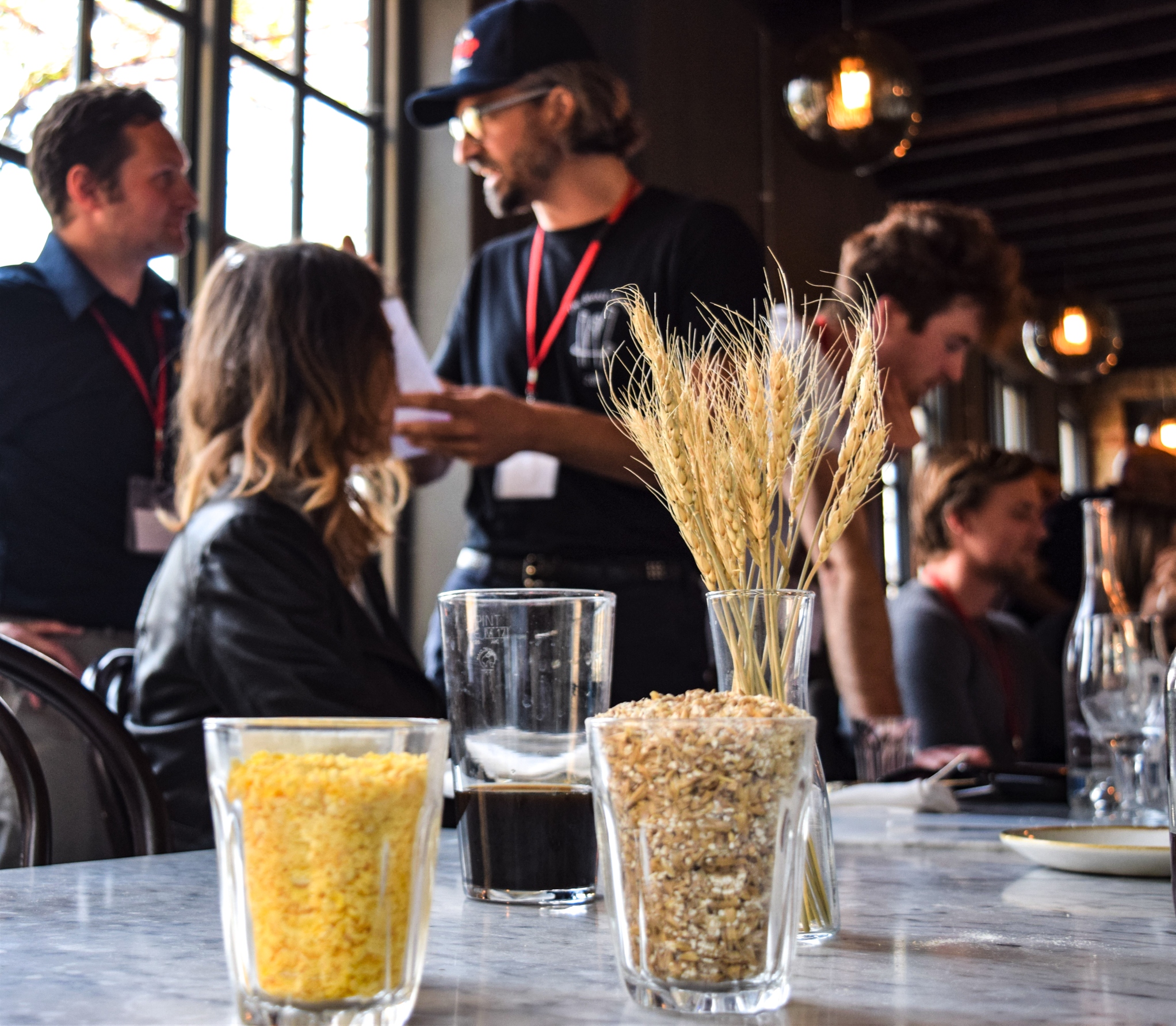 Malted grains in glasses sit on a table a Crisp Malt craft distilling event