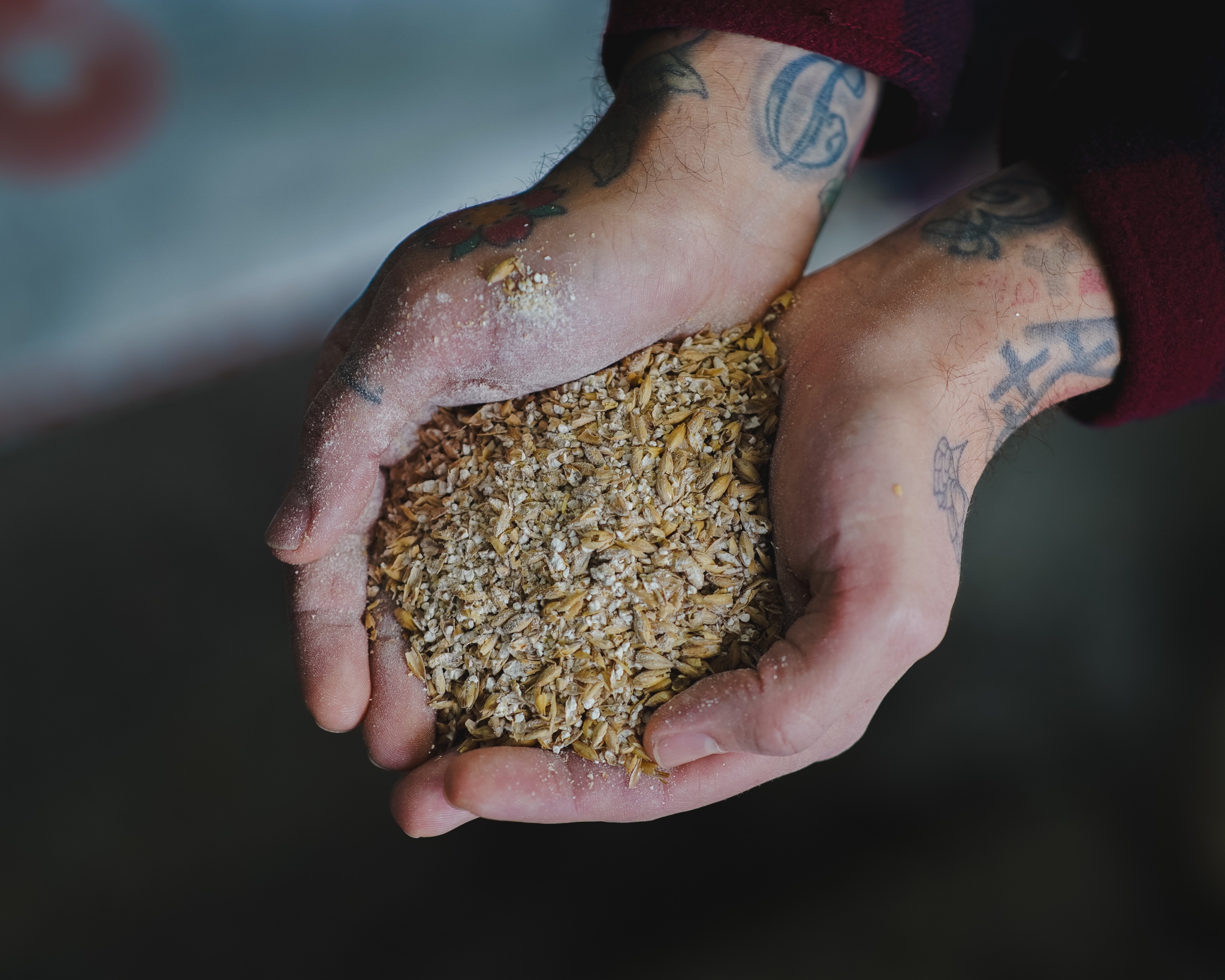 Malted barley straight from the mail silo