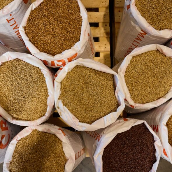 Malts for Dark Stouts