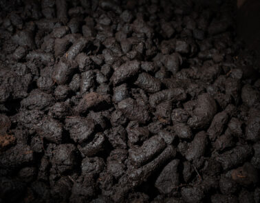 Close up image of peat, used to peated malt for craft distilling