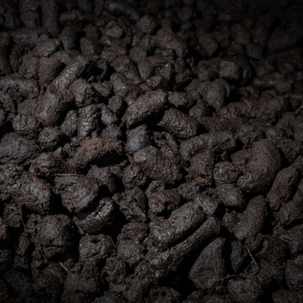 Close up image of peat, used to peated malt for craft distilling
