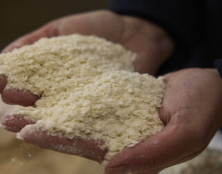 A person holds flaked torrefied rice in both of their hands