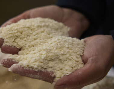 A person holds flaked torrefied rice in both of their hands