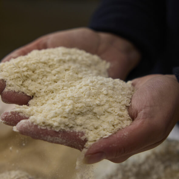 A person holds flaked torrefied rice in both of their hands